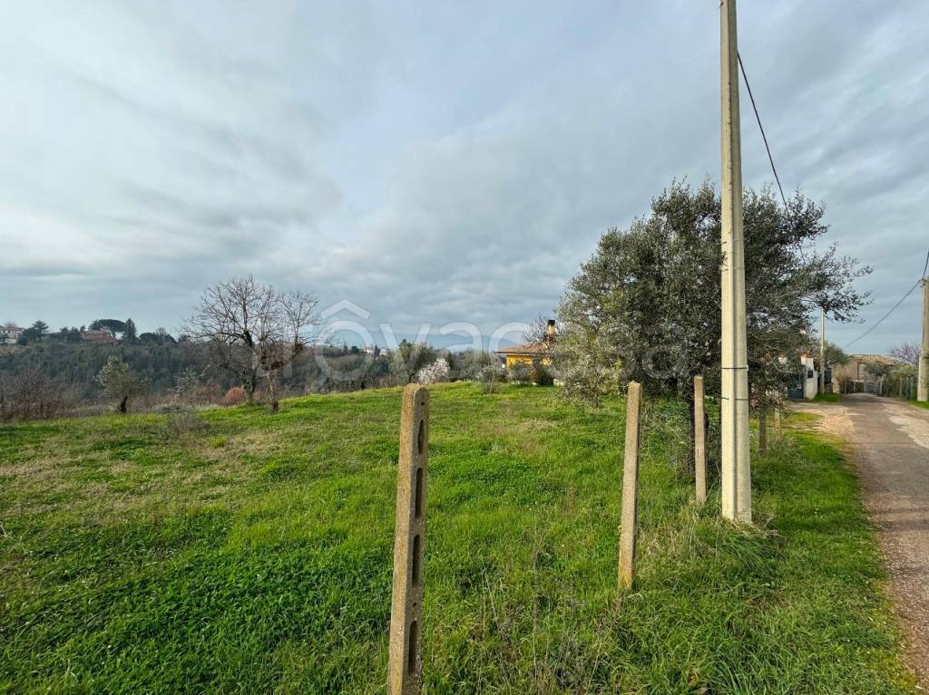 immagine annuncio 3 di 11