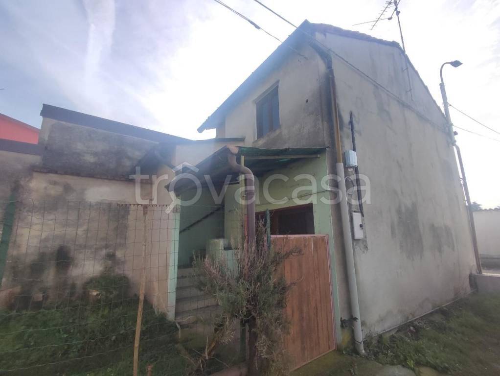 immagine annuncio 5 di 7