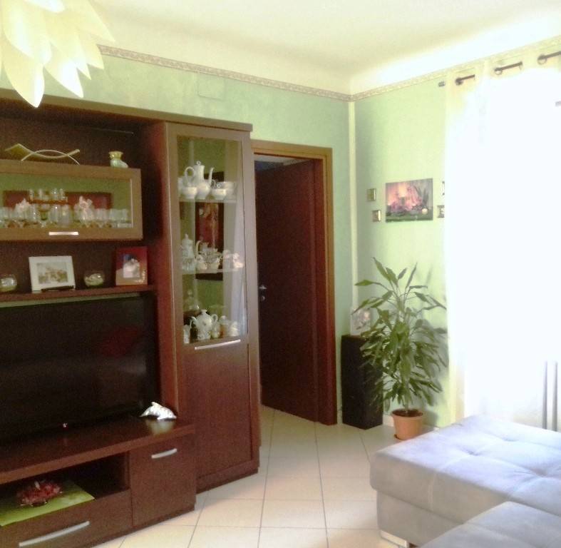 immagine annuncio 3 di 12