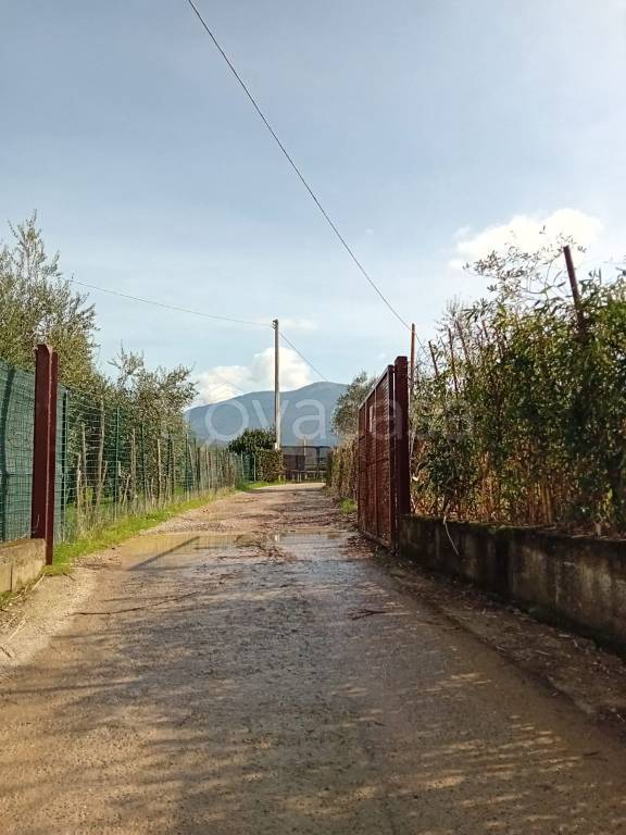Terreno Agricolo in vendita a Prato via Lungo la Bardena, 16