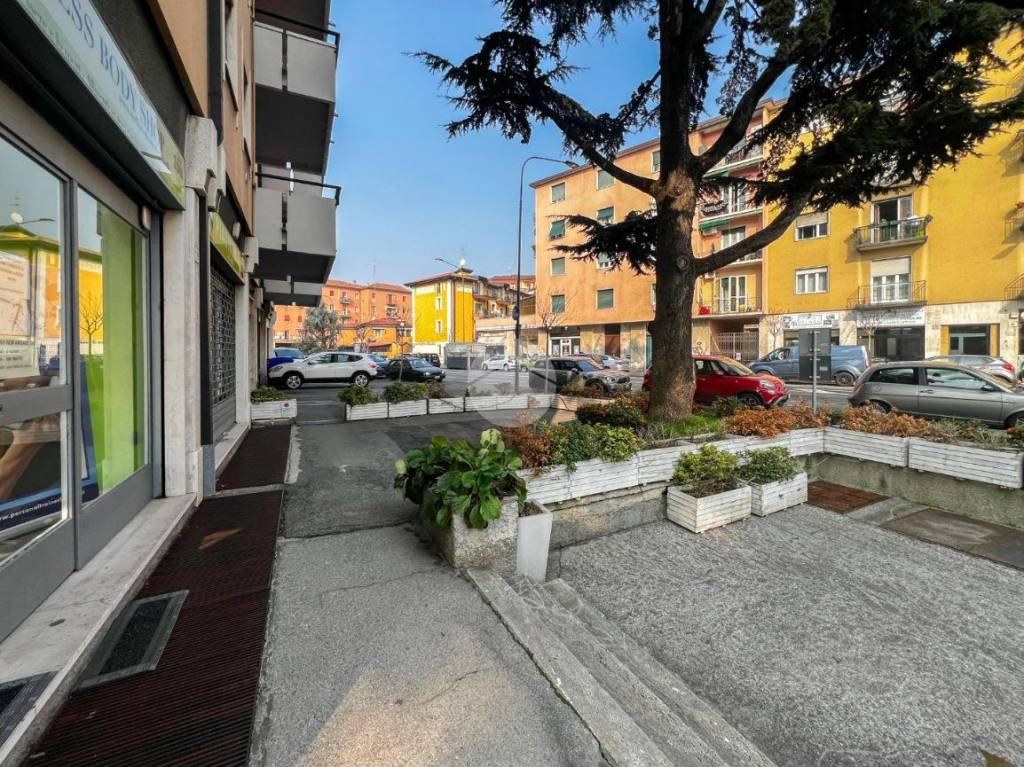 immagine annuncio 14 di 15
