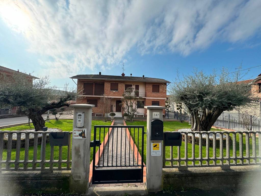 immagine annuncio 3 di 15