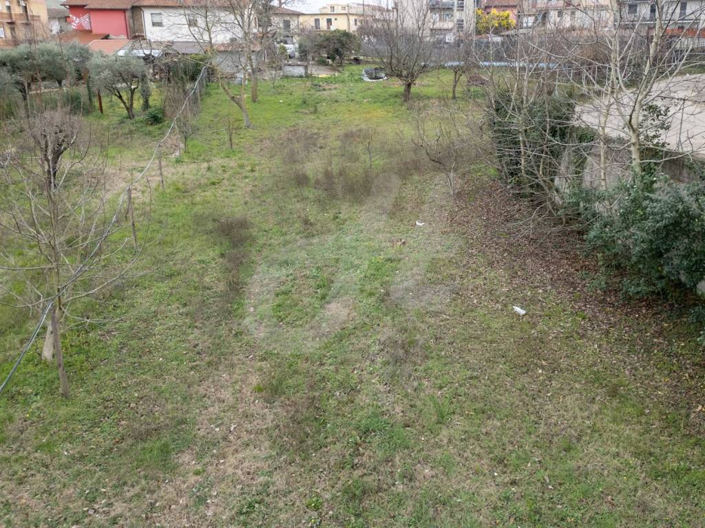 immagine annuncio 3 di 4