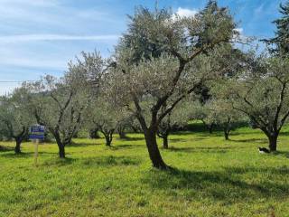 Terreno residenziale in vendita a perugia via bacchilide, 7