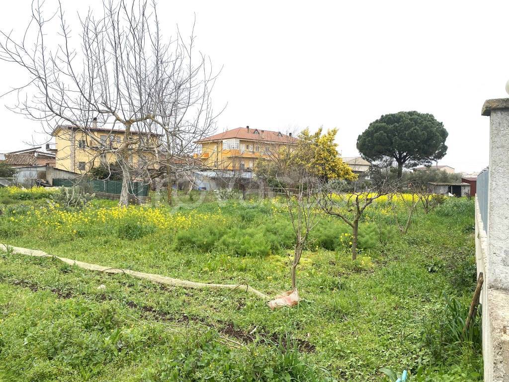 Terreno Residenziale in vendita a San Gregorio d'Ippona via Bitonto