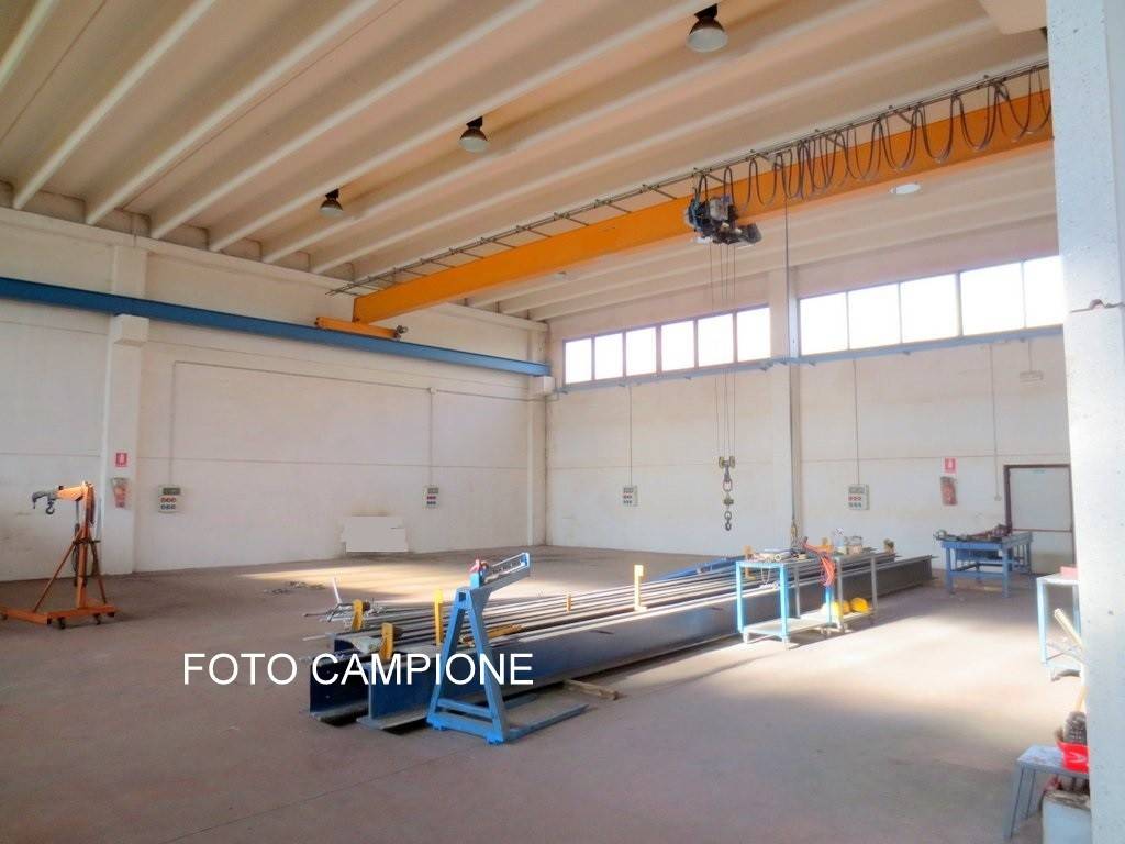 immagine annuncio 1 di 9