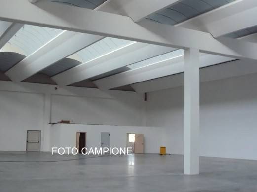 immagine annuncio 6 di 9
