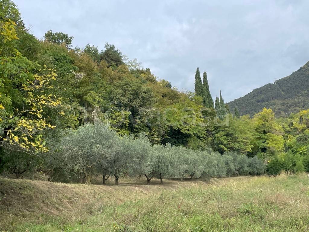 Terreno Agricolo in vendita a Caprino Veronese via Dosso Berra