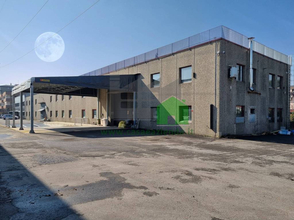 immagine annuncio 3 di 15