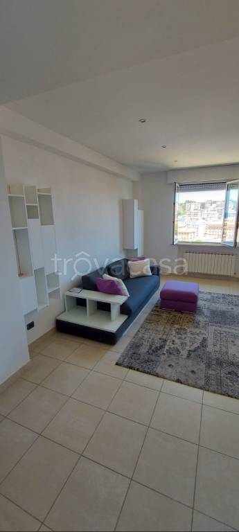 Appartamento in in affitto da privato ad Ancona via Rovereto, 10