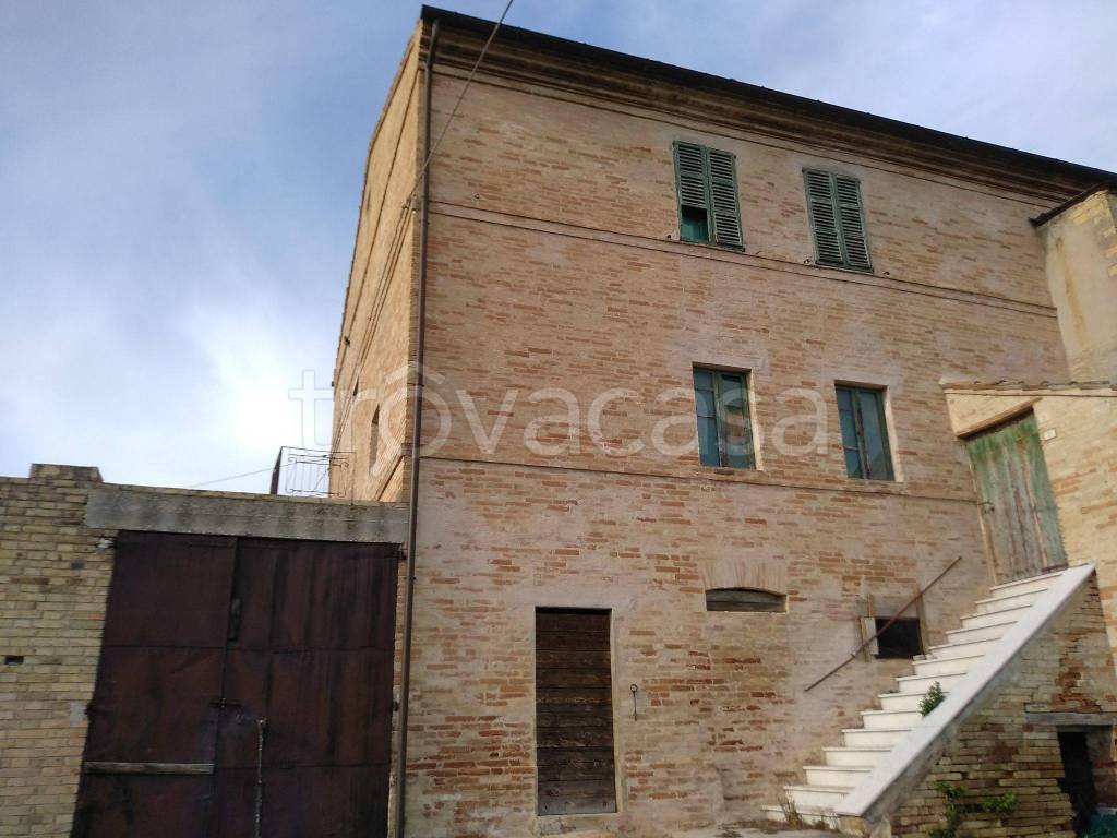 Casale in in vendita da privato a Rapagnano san Triburzio, 19