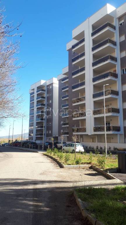 Appartamento in in vendita da privato a Rende via Evangelista Torricelli, 22