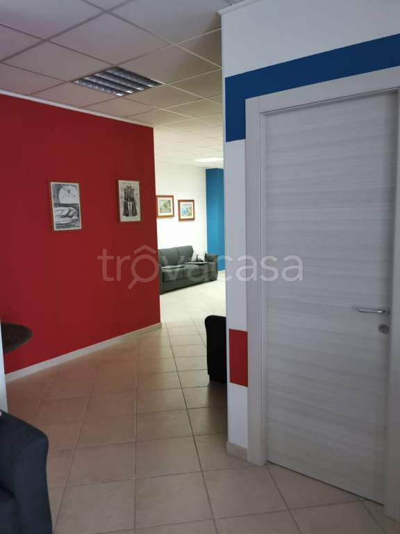 immagine annuncio 12 di 14