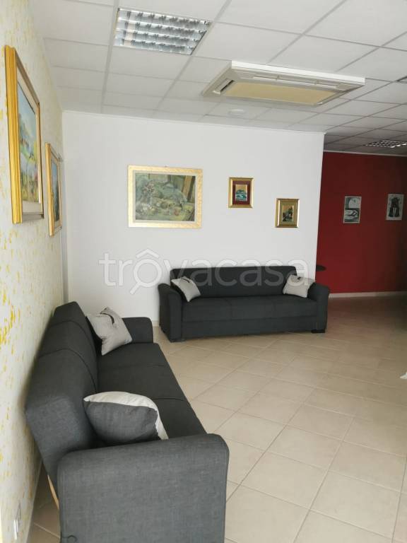 immagine annuncio 13 di 14