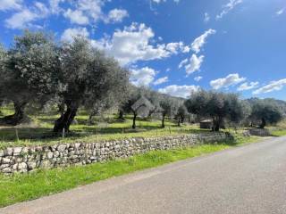 Terreno agricolo in vendita a sermoneta via abbadia