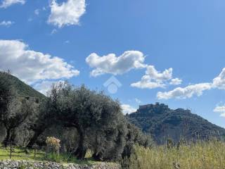 Terreno agricolo in vendita a sermoneta via abbadia