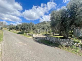 Terreno agricolo in vendita a sermoneta via abbadia