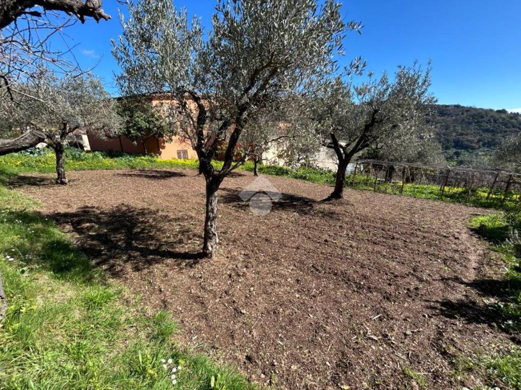 immagine annuncio 1 di 9