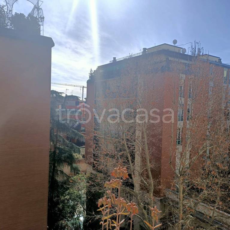 Appartamento in affitto a Bologna via Giuseppe Massarenti, 40