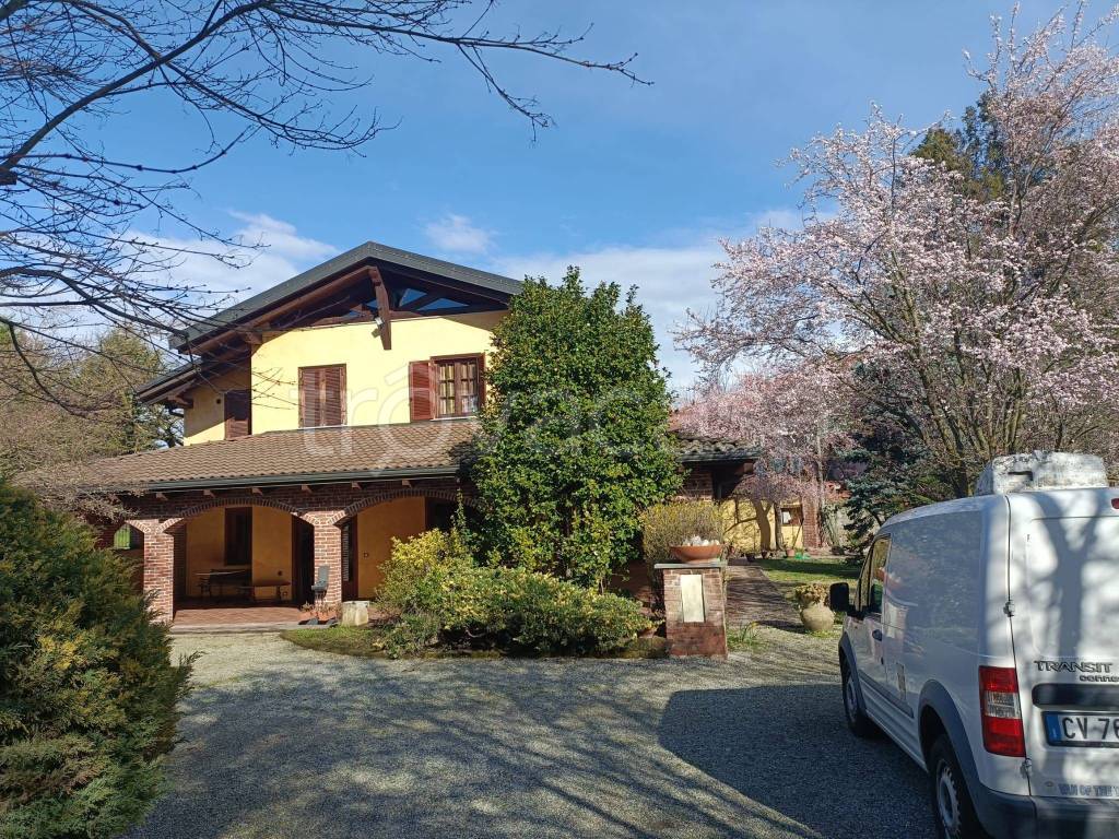 immagine annuncio 3 di 8
