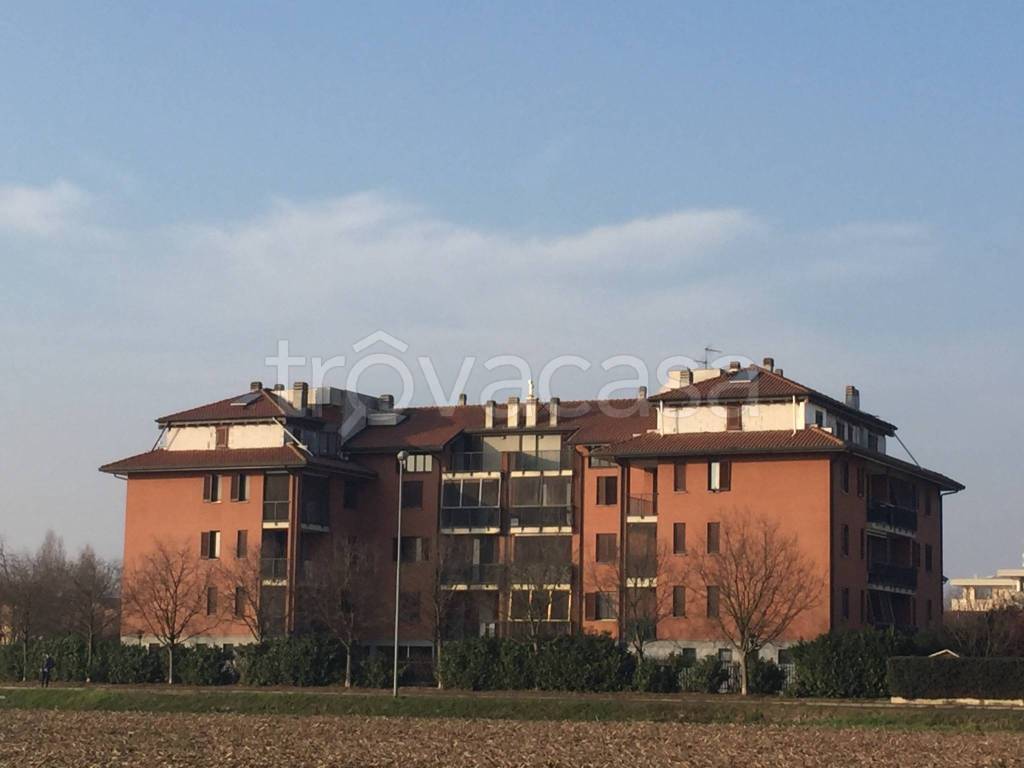 immagine annuncio 2 di 7