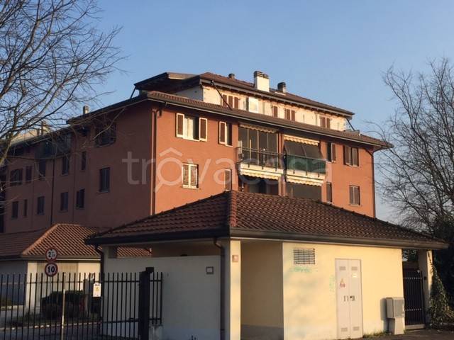 immagine annuncio 3 di 7