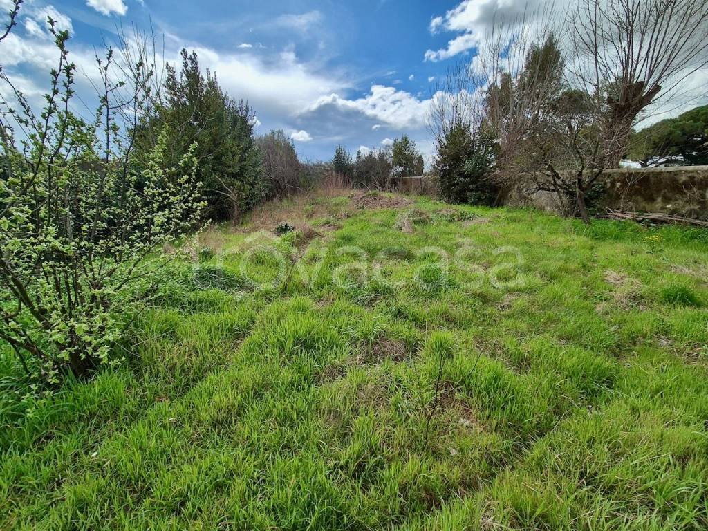 immagine annuncio 6 di 9