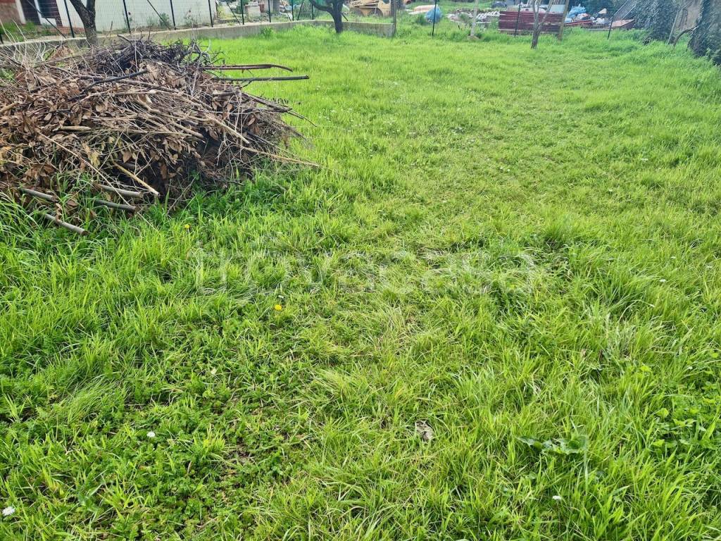 immagine annuncio 8 di 9