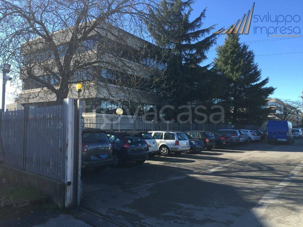 immagine annuncio 6 di 15