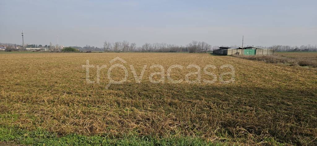 immagine annuncio 6 di 7