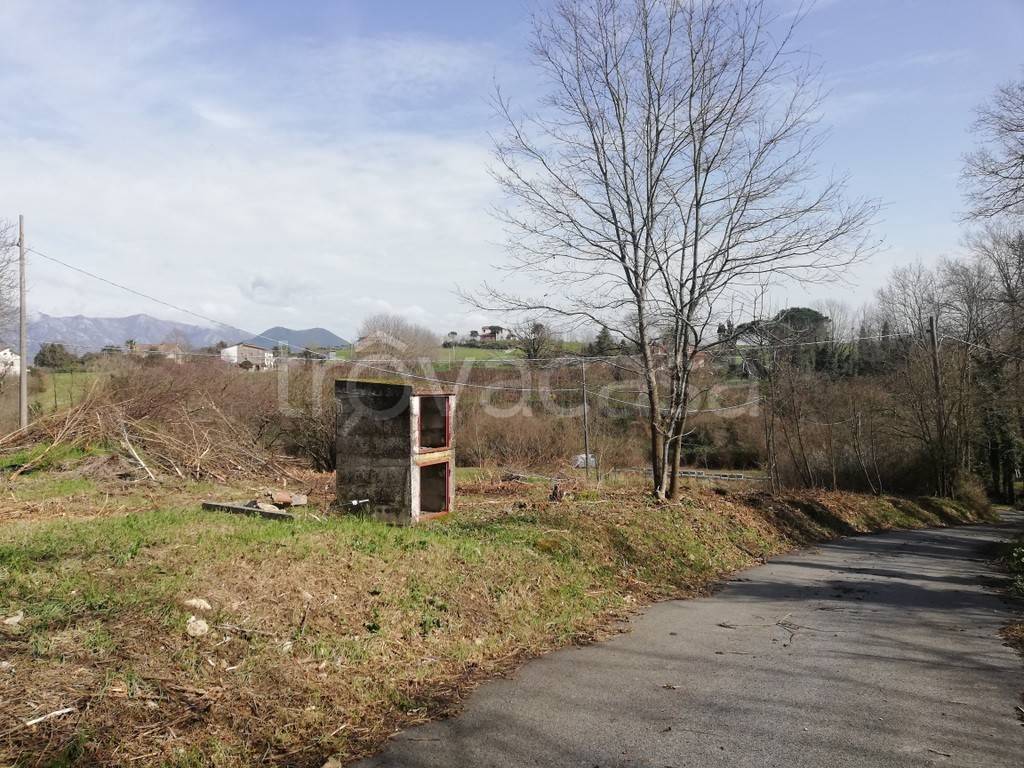 immagine annuncio 6 di 14