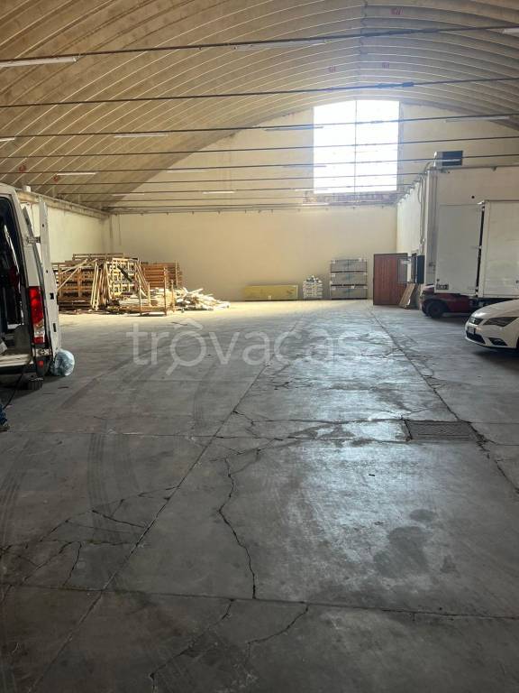 immagine annuncio 5 di 8