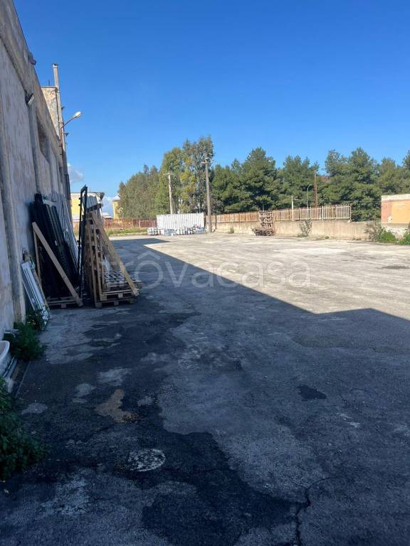 immagine annuncio 6 di 8