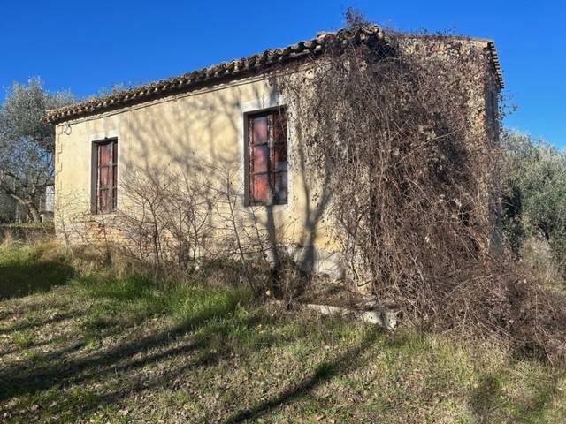 immagine annuncio 3 di 14