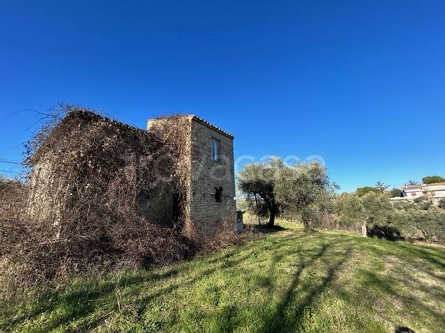 immagine annuncio 4 di 14