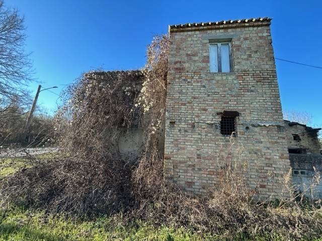 immagine annuncio 5 di 14
