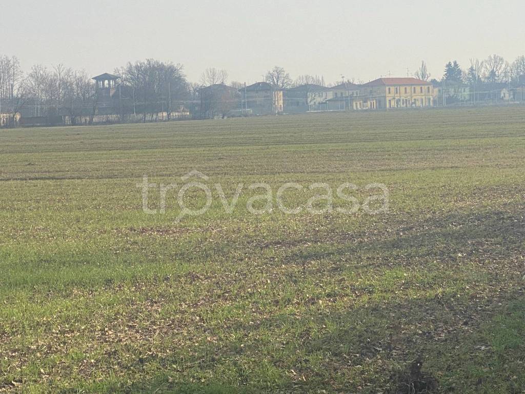 immagine annuncio 6 di 12