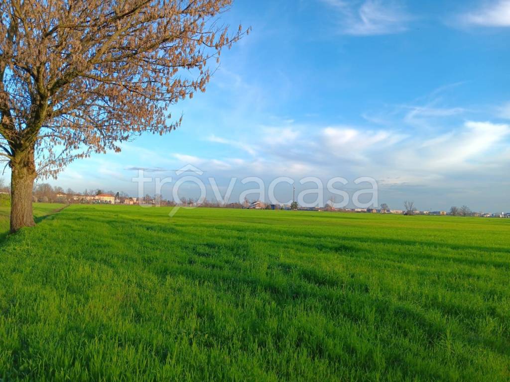 immagine annuncio 10 di 12