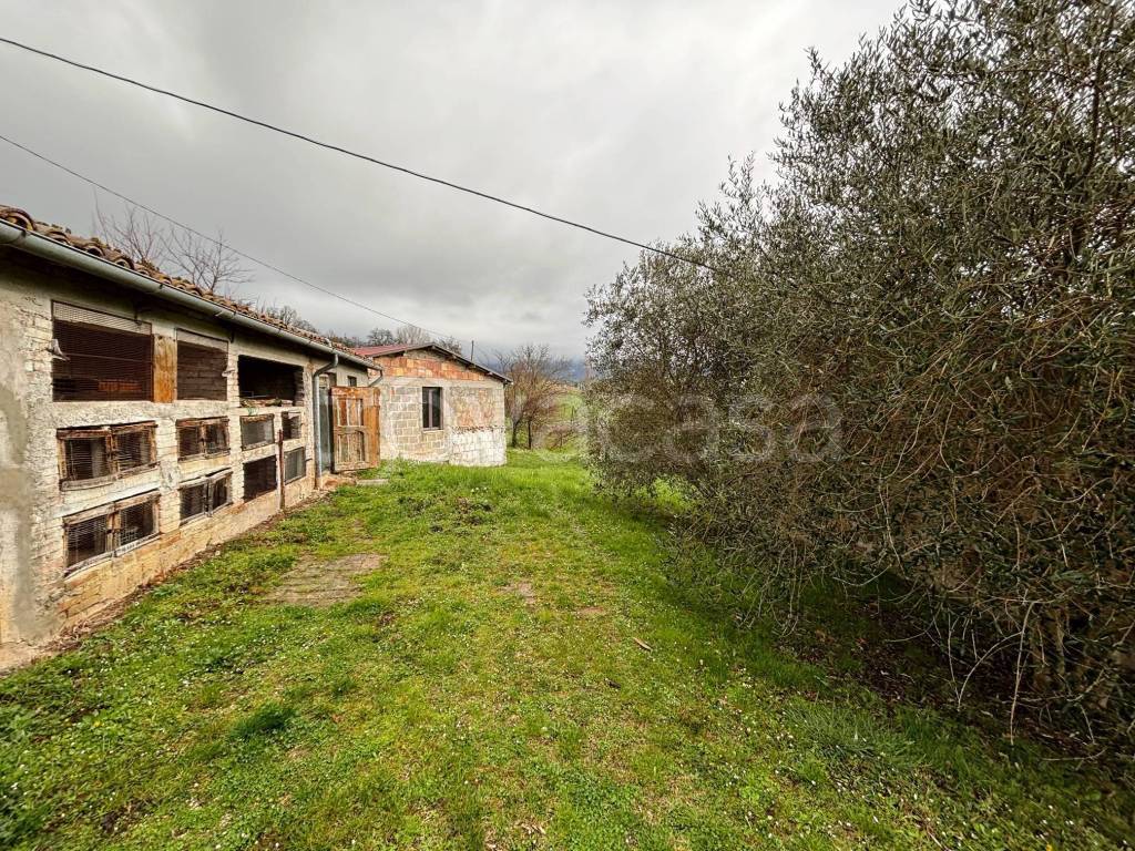 immagine annuncio 11 di 15