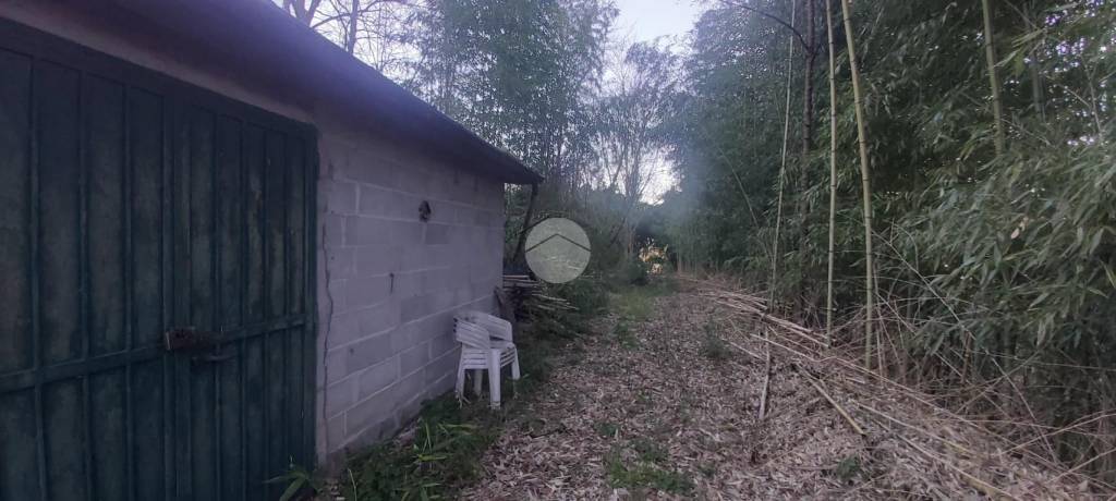 immagine annuncio 5 di 9