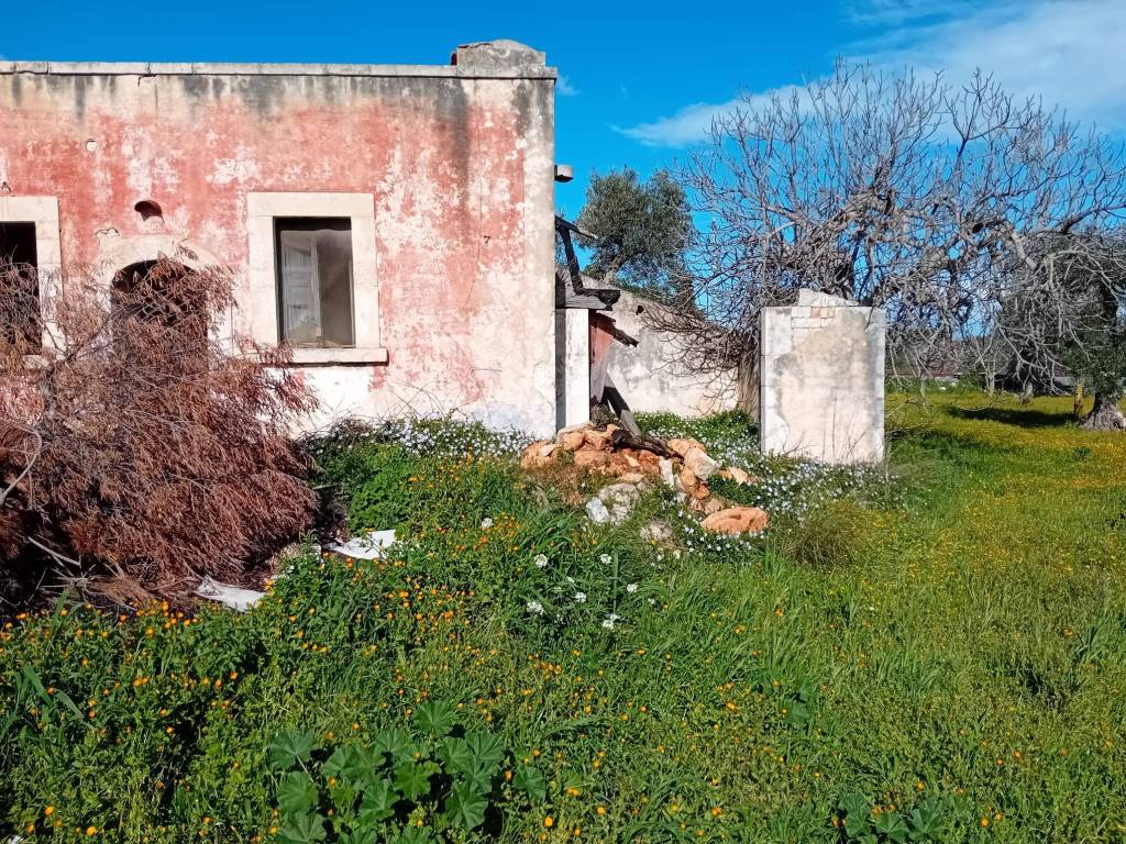 immagine annuncio 1 di 3