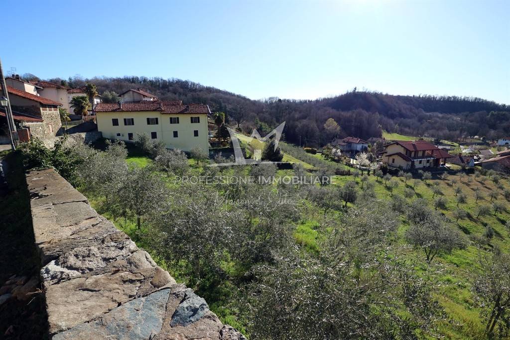 immagine annuncio 2 di 14