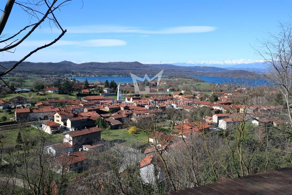 immagine annuncio 11 di 14