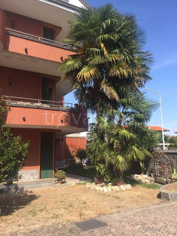 Villa Bifamiliare in vendita a Cerano via Magenta, 9
