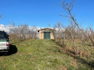 Terreno agricolo in vendita a faleria loc.paterno