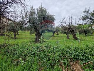 Terreno residenziale in vendita a bucchianico c.da colle s. antonio, 4