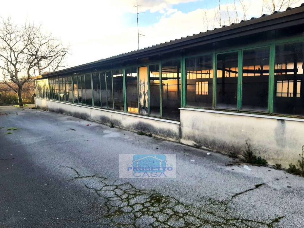 immagine annuncio 1 di 14
