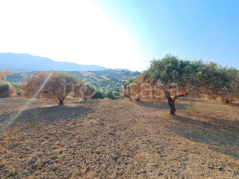 Terreno Agricolo in vendita a Casteldaccia contrada Fiorilli
