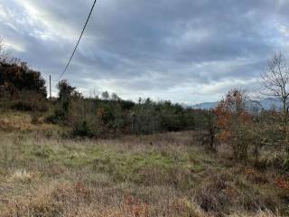 Terreno agricolo in vendita a murlo strada provinciale fontazzi casciano di murlo