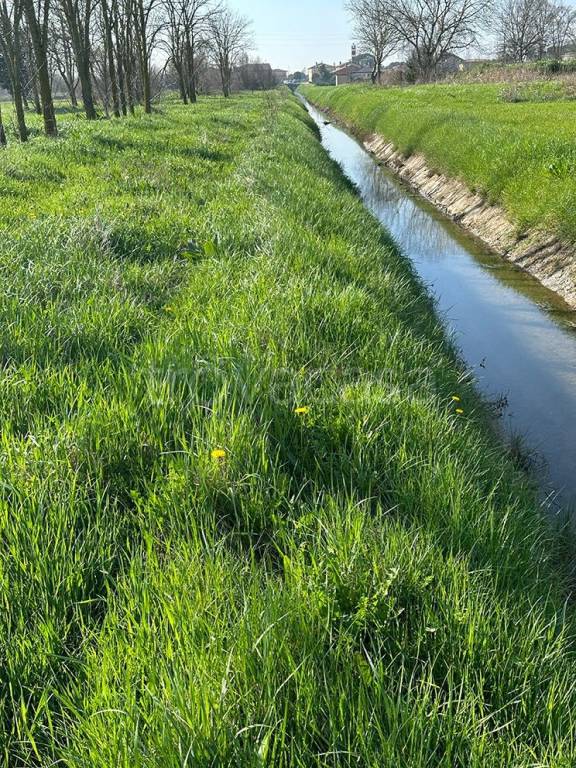 Terreno Agricolo in vendita a Chioggia